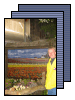 [Tulips 2003]