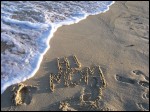 [IMG_ST135.jpg]