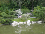 [102-0278 IMG]