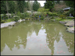 [102-0282 IMG]