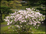 [102-0288 IMG]